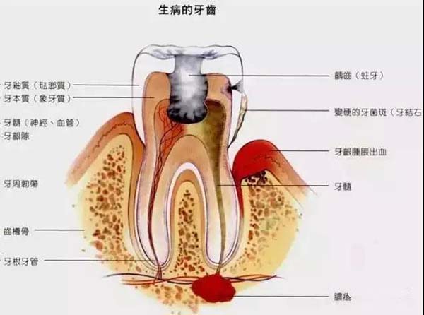 微信图片_20190329104036.jpg